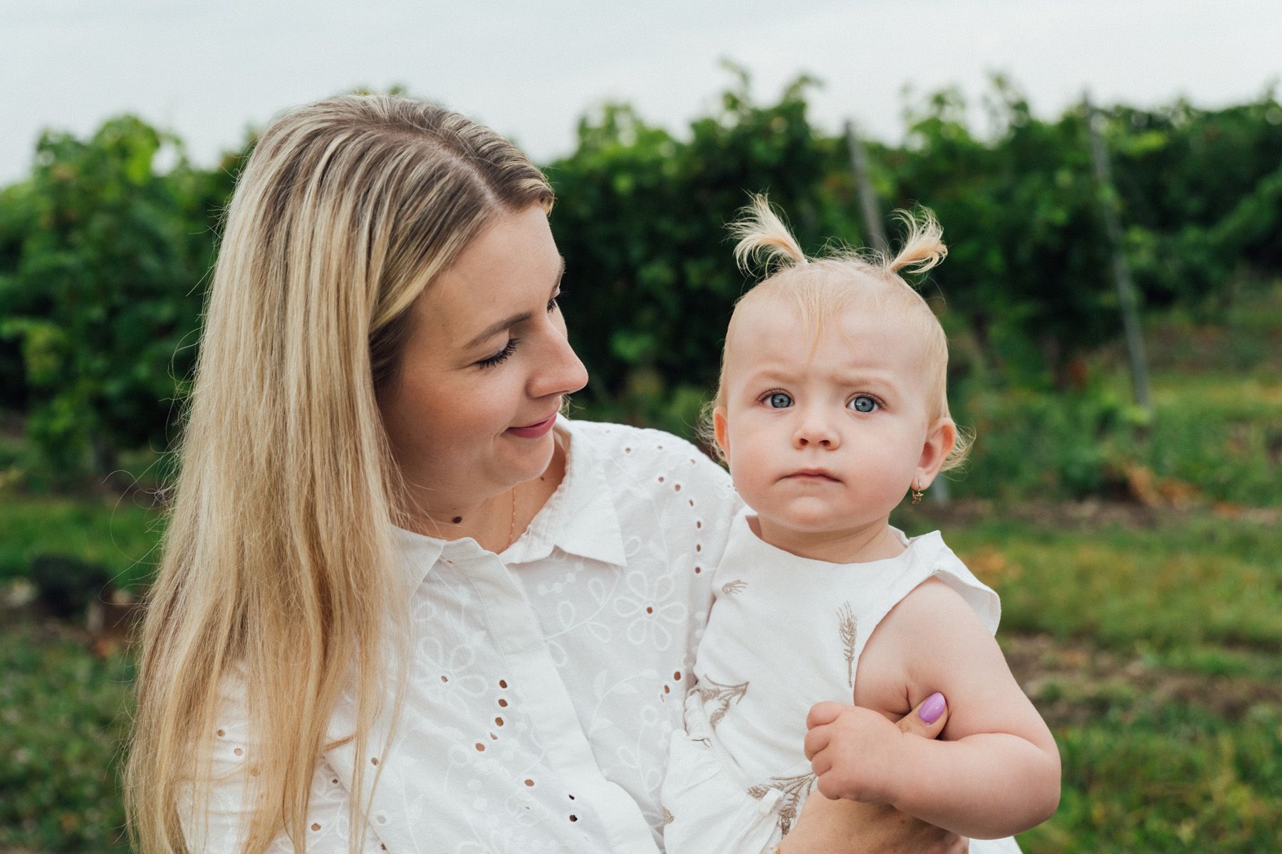 Vinařství Hrozínek - voňavé víno plné moravské chuti